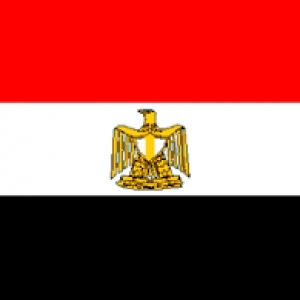 دانشگاه‌های مورد تایید وزارت علوم در مصر
