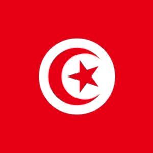 دانشگاه‌های مورد تایید وزارت علوم در تونس