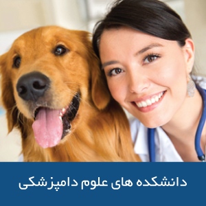 دانشکده‌های علوم  دامپزشکی در استرالیا