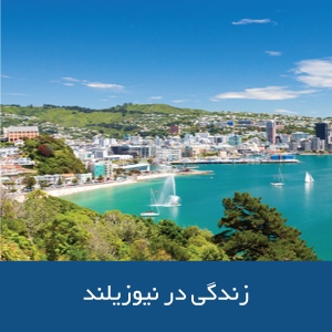 زندگی در نیوزیلند