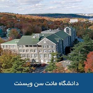 دانشگاه ماونت سینت وینست