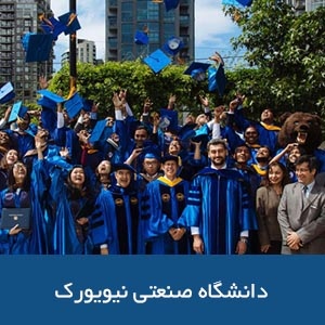 دانشگاه صنعتی نیویورک 