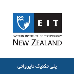 موسسه پلی تکنیک تایرواتی