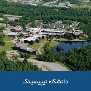 دانشگاه نیپیسینگ 