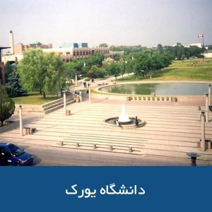 دانشگاه یورک 